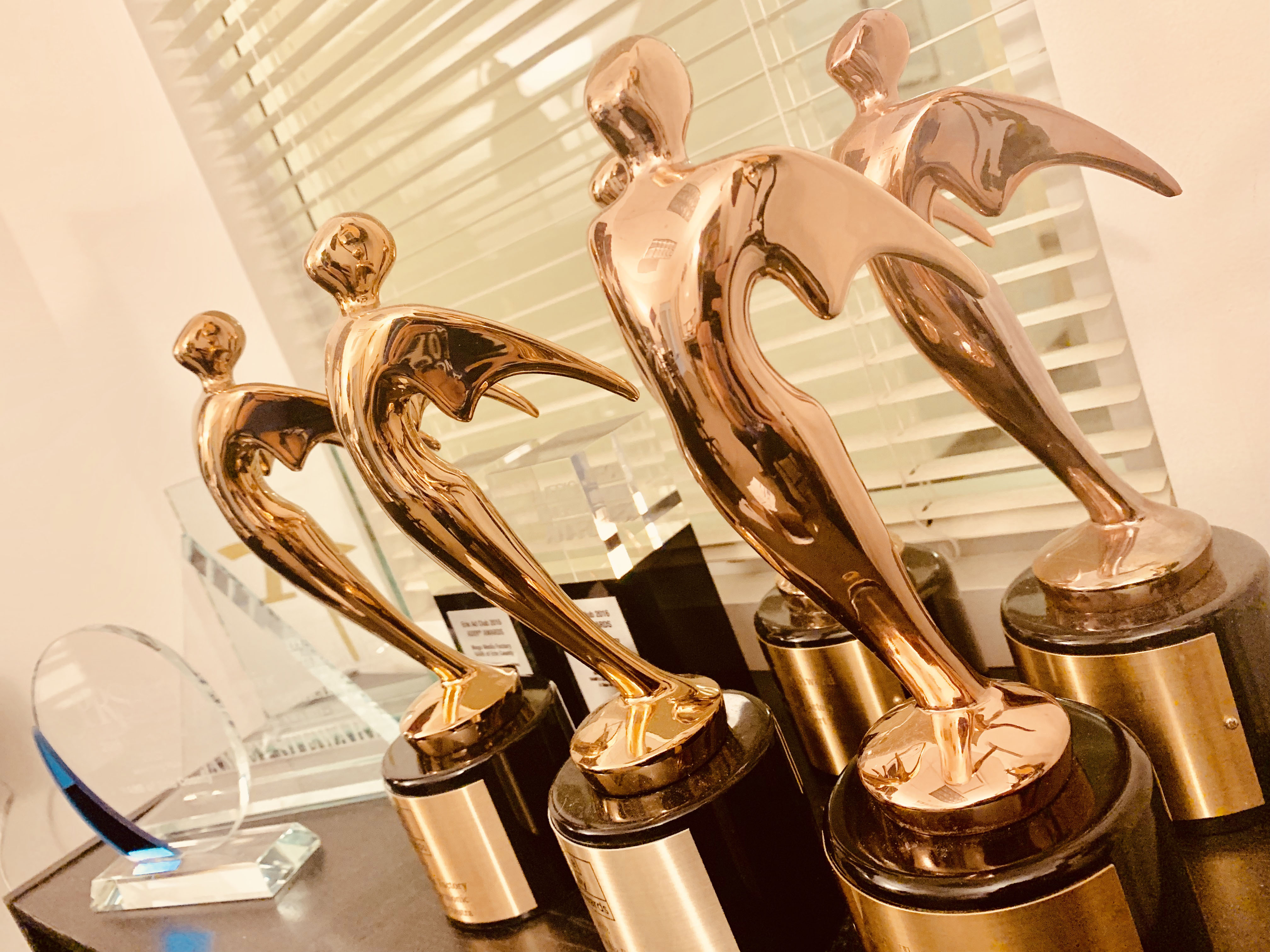 Telly award and other awards on a book shelf