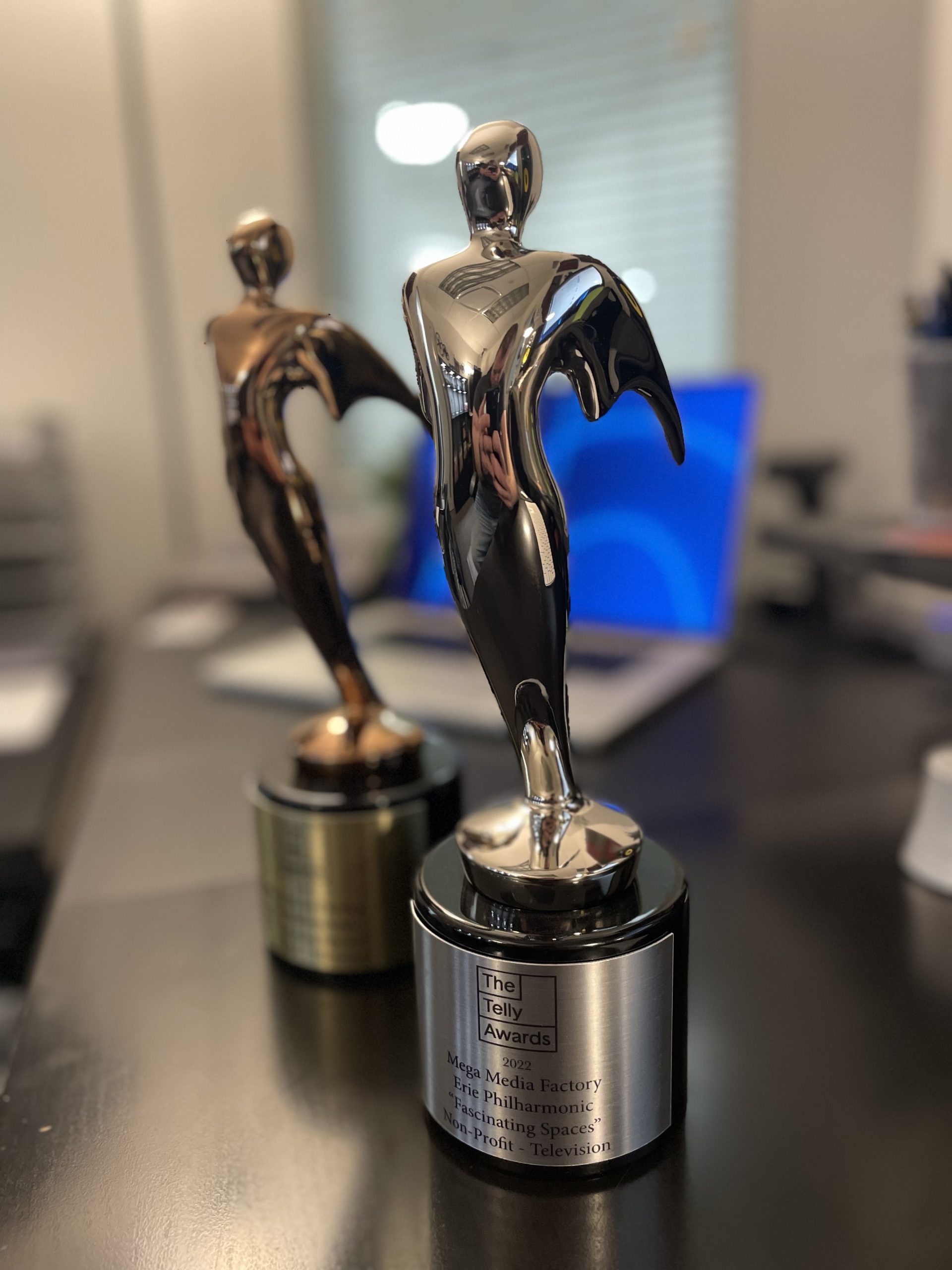 Silver and Bronze Telly Awards